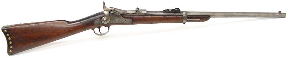 Carabine Springfield Mle 1873